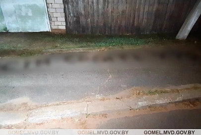 Житель Жлобина получил 3 месяца ареста за нанесение циничных надписей